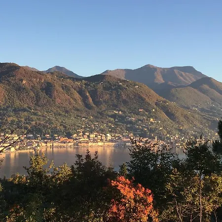 Sogno Verde *