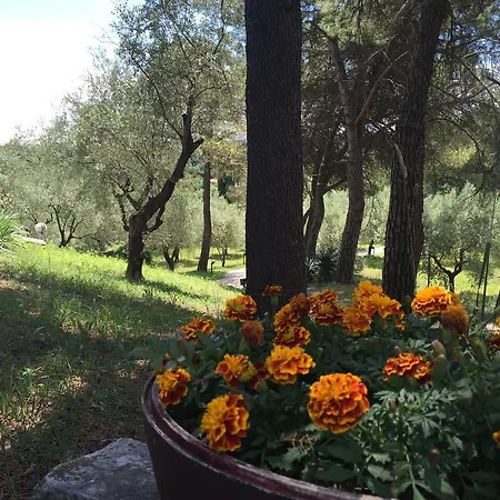 Sogno Verde * Salò
