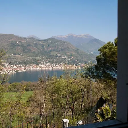 Sogno Verde *