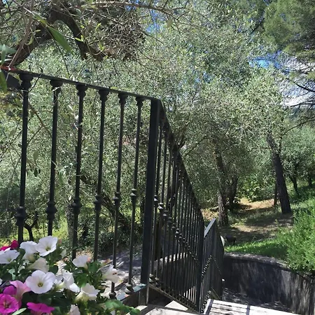 Sogno Verde *