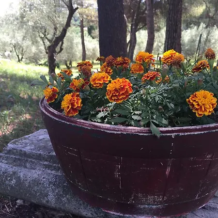 Bed & Breakfast Sogno Verde Salò